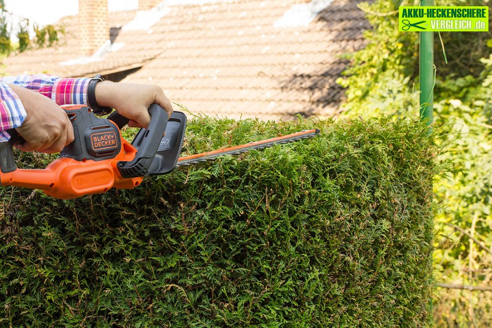 blackdeckergtc18502pctestheckenschereheckenschnitt2 Akku